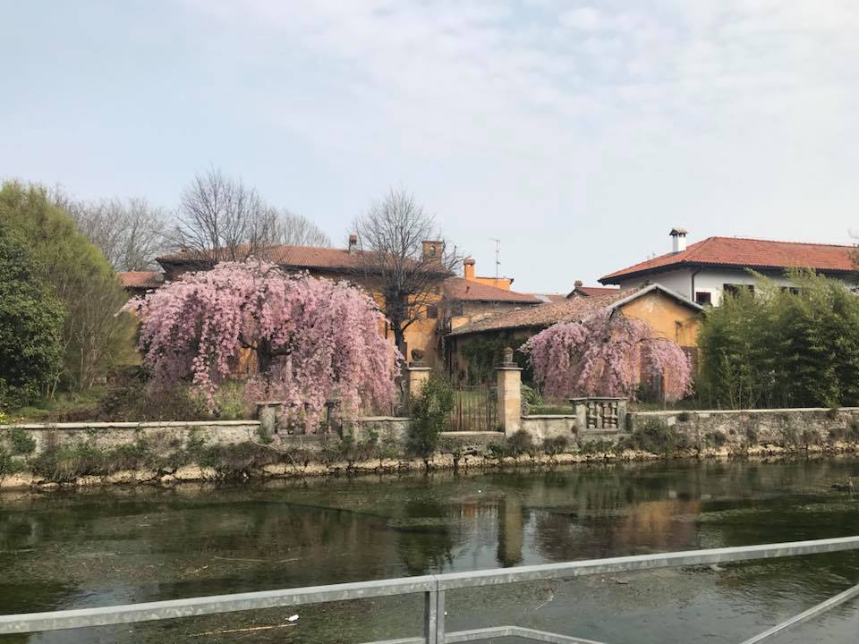primavera martesana
